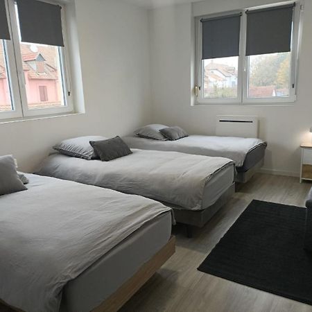 Appartement Entier F3 Renove - Petite Pause A Selestat Luaran gambar