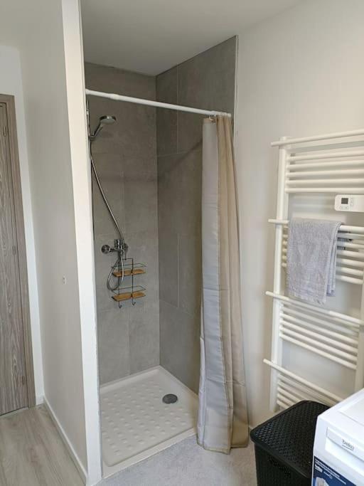 Appartement Entier F3 Renove - Petite Pause A Selestat Luaran gambar
