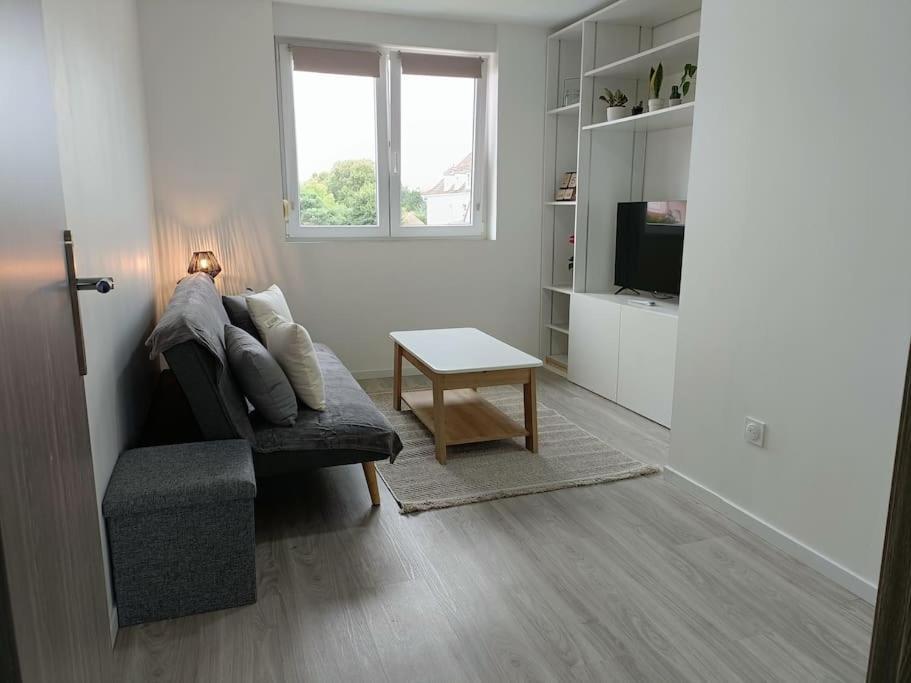 Appartement Entier F3 Renove - Petite Pause A Selestat Luaran gambar