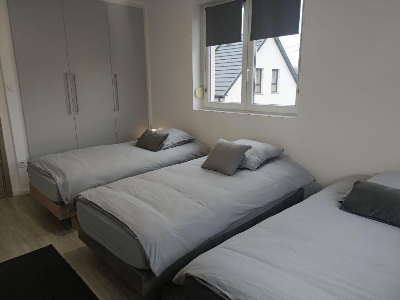 Appartement Entier F3 Renove - Petite Pause A Selestat Luaran gambar