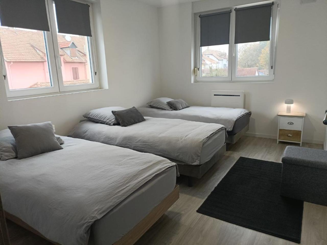 Appartement Entier F3 Renove - Petite Pause A Selestat Luaran gambar